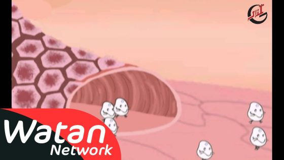 برنامج الأطفال علمني كيف ـ الحلقة 2 الثانية كاملة HD