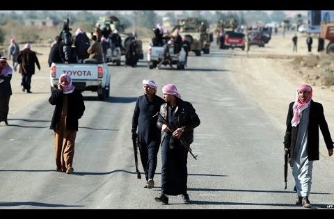 عشائر الانبار تستعد لـ تحرير الفلوجة