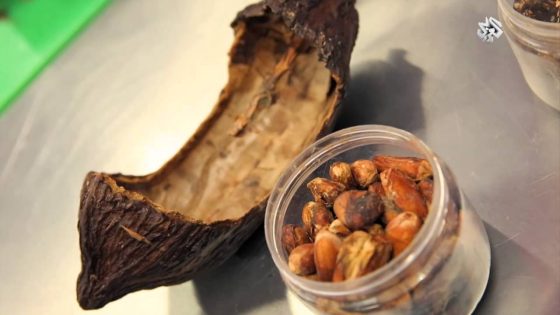 رحلة بمحفظتين | الحلقة الثالثة