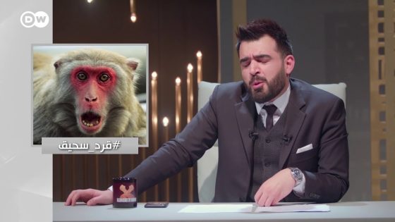 البشير شو اكس – AlbasheershowX / رد الريسيرج على ابراهيم الصميدعي