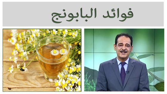 فوائد البابونج مع خبير الاعشاب حسن خليفة .. قناة دجلة الفضائية