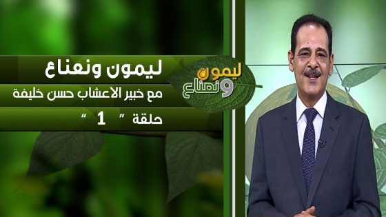 برنامج ليمون ونعناع الحلقة 1 مع خبير الاعشاب حسن خليفة .. قناة دجلة الفضائية