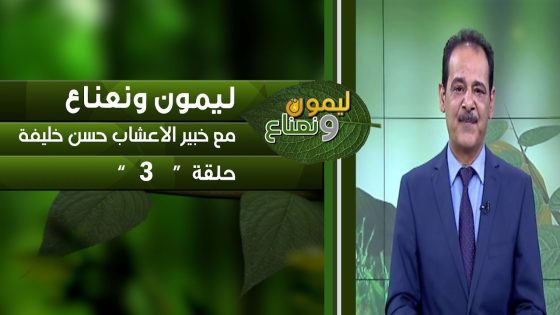 برنامج ليمون ونعناع الحلقة 3 مع خبير الاعشاب حسن خليفة