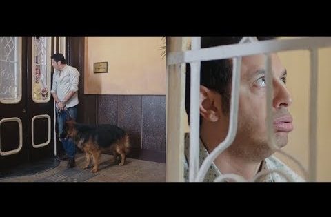 مشكلة كل ام و عيالها لما يقولولها عاوزين كلب ???? بدل ما تربي كلب ربيلي حتت عيل #اللهم_إني_صايم