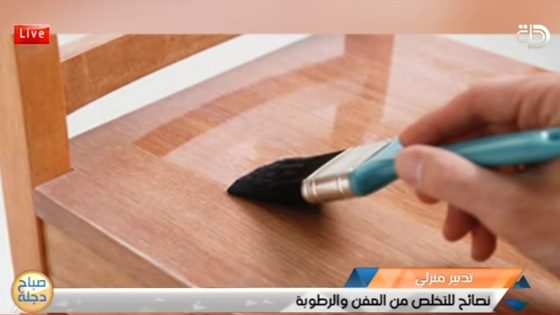 نصائح للتخلص من العفن والرطوبة