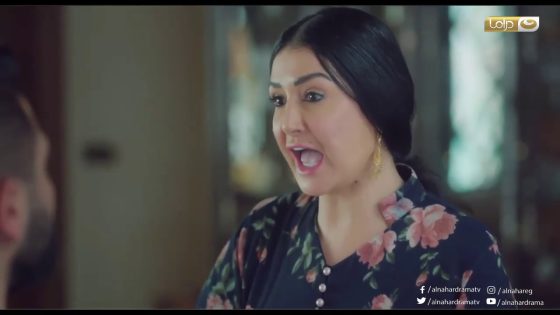 حدوتة مُرة | منظرك وانت عامل بورم لما تيجي تلاغي قطة وتطلع مخربشة