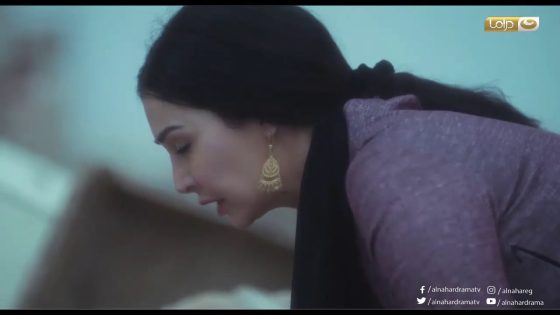 حدوتة مُرة | نهاية مآساوية لـ سلطان… حلم مُرة اللى انهار من قبل ما يبتدي أصل الفلوس دي ملعونة