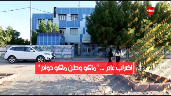 الحصاد الاخباري 17/11/2019