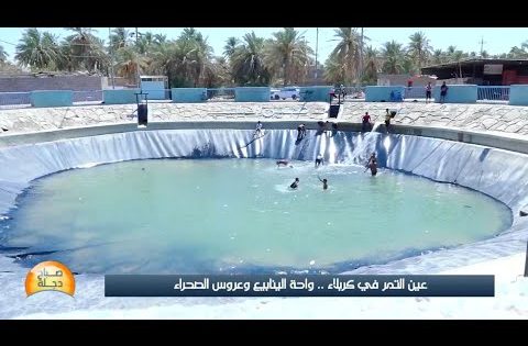 كربلاء .. عين التمر واحة الينابيع وعروس الصحراء