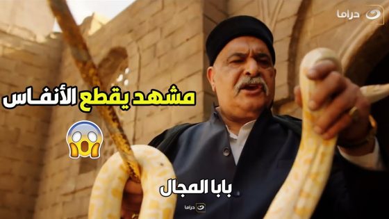 بابا المجال | الحنش اتهجم على الواد حمادة لما حاول يقرب من بيت الحنش ويخالف العهد ياترى ايه السر