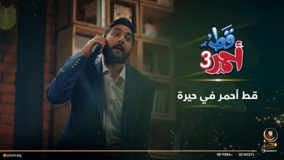 قط أحمر في “حيرة”