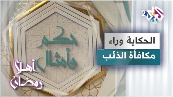 الحكاية وراء مثل مكافأة الذئب | حكم وأمثال