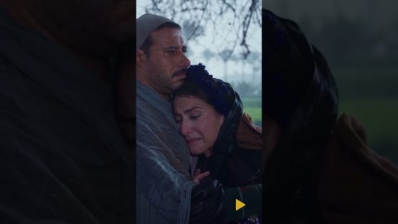 نهاية قصة الحب بين حامد وصافية.. لا يوجد ثائرا كبير إلا إذا كان عاشقا كبيرا #سره_الباتع