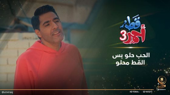 الحب حلو بس القط محلو