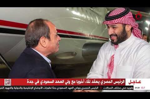 نقلًا عن القاهرة الإخبارية.. الرئيس السيسي وولي العهد السعودي يستعرضان العلاقات الثنائية