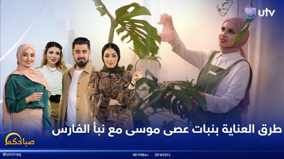 طرق العناية بنبات عصى موسى مع نبأ الفارس #بستان_ورد | صباحكم