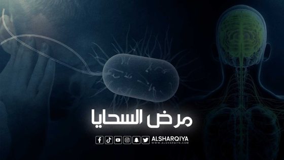 بعد تسجيل 40 إصابة بالتهاب السحايا في السليمانية وحلبجة .. تعرف على هذا المرض الخطير