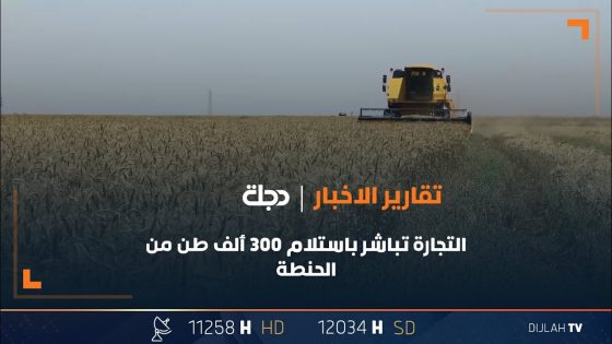 التجارة تباشر باستلام 300 ألف طن من الحنطة بـ#ميسان