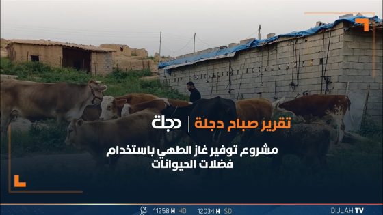 شاب من السليمانية يطلق مشروع توفير غاز الطهي باستخدام فضلات الحيوانات