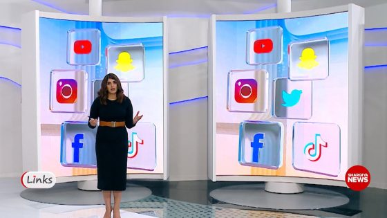 سيف نبيل يعود بقرار قضائي | روابط