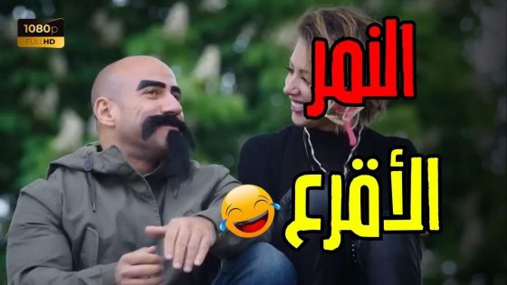 الكبير أوي 5 – النمر الأقرع بدأ رحلة الملاكمة في تركيا😂