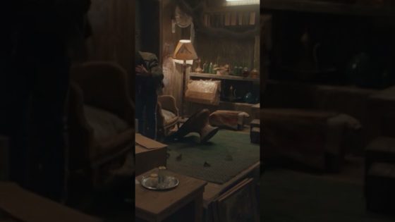 هوجان لقى مصيبة في الكرتونة بالصدفة #هوجان #shorts