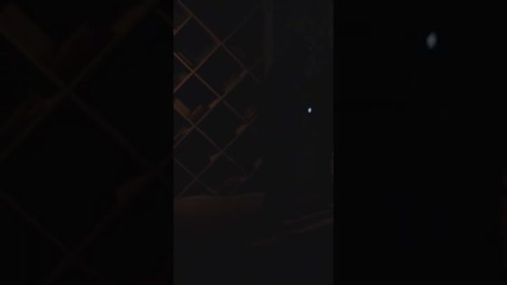 هوجان ولطفي اتمسكوا من أمن الفيلا #هوجان#shorts