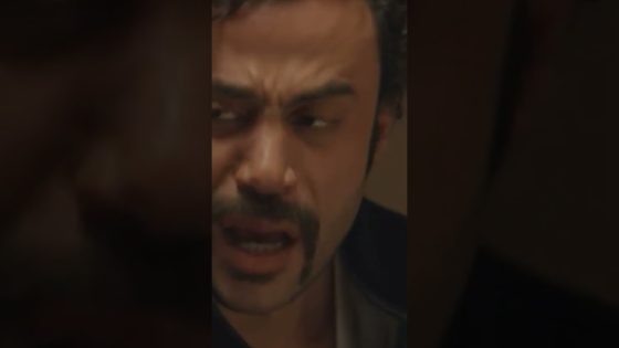 الأئمة الأربعة أجمعوا إن تجارة الأثار حلال😂 #هوجان #shorts