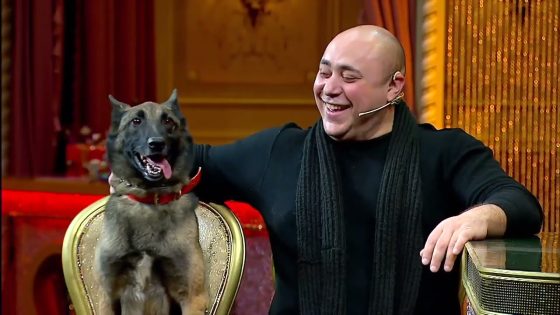 مدرب الكلاب خالد الهياتمي ونصائح مهمة قبل قرار تربية كلب #أبلة_فاهيتا