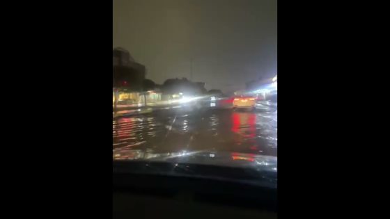 شوارع كربلاء افضل من أمريكا #sumer #العراق #سومر