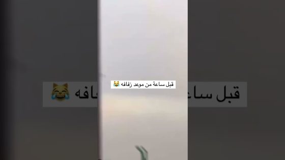 ماذا فعل العريس قبل حفلة الزواج #العراق #الزواج #العريس #حفلة #طيور #مطيرجي
