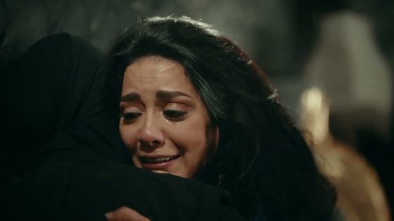 سليم شايل سواد وحقد على حكيم #حكيم_باشا