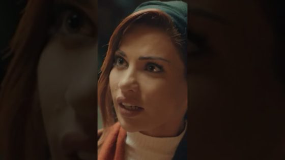 أنا مش فاهم نصف الكلام اللي بتقوله من ساعة ماجيت #هوجان #shorts