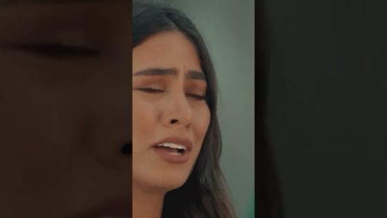 نور رفضت إنه تهاجر ورجعت عشان هوجان #هوجان