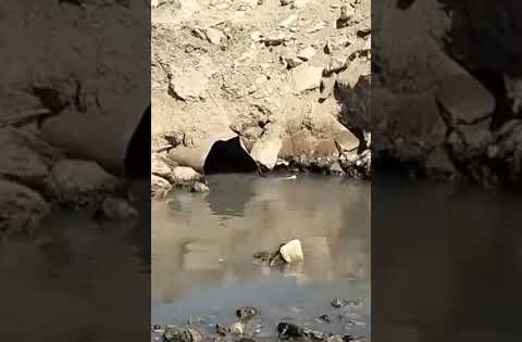 تلوث مياه نهر دجلة #دجلة #العراق