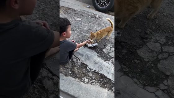 طفل يطعم قطة في الشارع #العراق #قطة