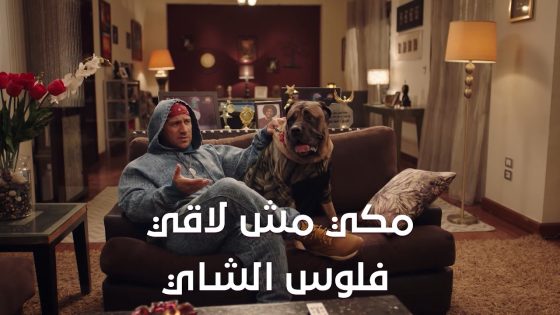 ‏مكي مش لاقي فلوس الشاي😳🤦🏻‍♀️.. وهجرس عرض عليه فرصة عمره😂 #الكبير_أوي_ج7