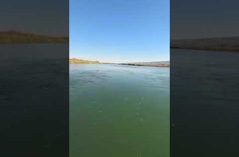 سفن غارقة في نهر دجلة #العراق #دجلة