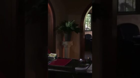 استغل الفرصة وسرق المصاري من أخوه 😲😳 – يزن السيد #صرخة_روح #يزن_السيد #محمد_قنوع #ميلاد_يوسف