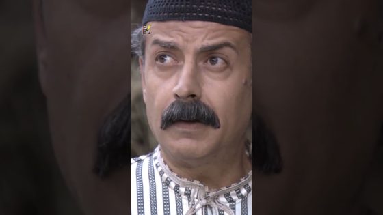 ربع وقية كباب بفرد مرة 🤔 #قبنض #زمن_البرغوت