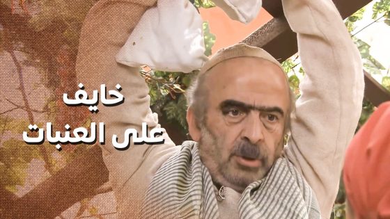 اهم شي العنب يتكيس 😅 بيهتم بالعنبات اكتر من ولاده 🤣 ـ زمن البرغوت