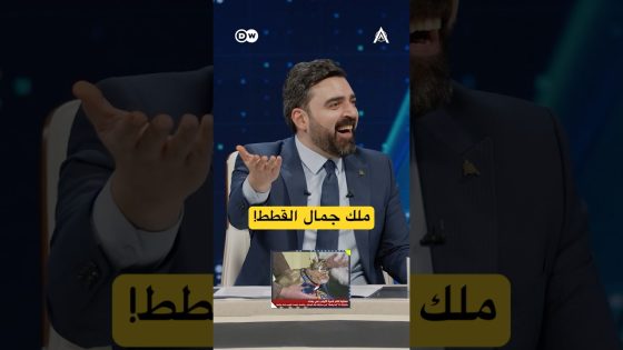 شنحوت ملك جمال القطط!! #البشير_شو #اكس_ومربع #حمام_سوگ