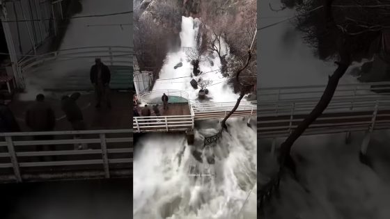 شلال أحمد آوة #العراق