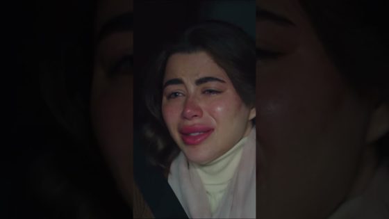 علي كلاي أنقذ روح من رمية الشوارع😭#علي_كلاي #Shorts